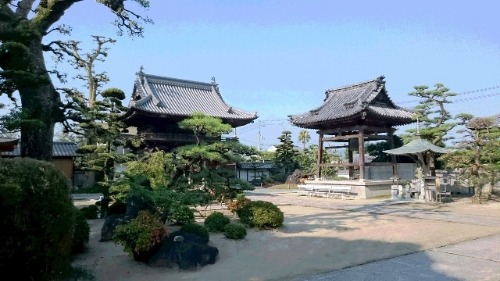 f0213825_1165265.jpg
