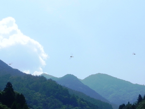 f0213825_1341779.jpg