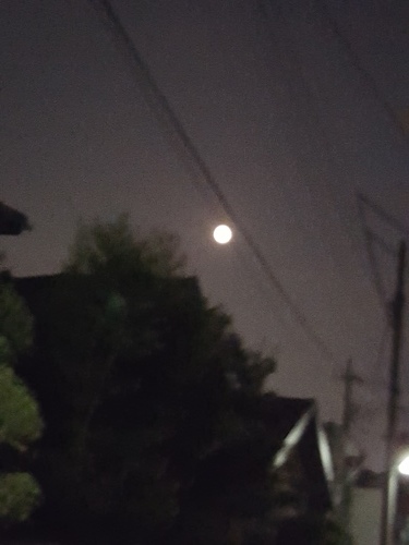 e0016828_10343643.jpg