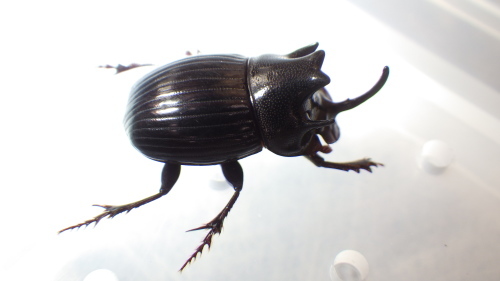 c0337631_00493949.jpg