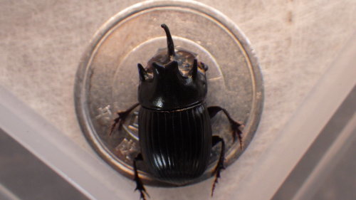 c0337631_00494031.jpg