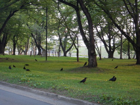 f0118332_21511686.jpg