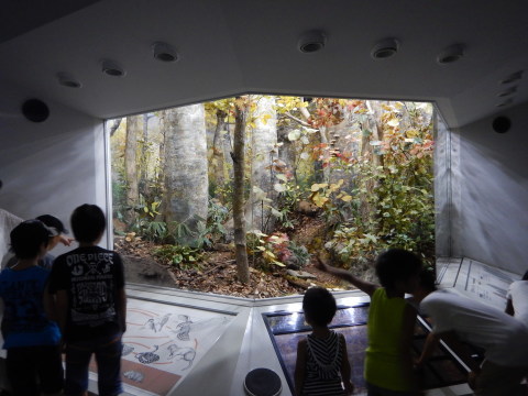 f0118332_21572601.jpg