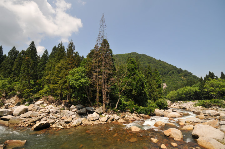 c0133133_1434587.jpg