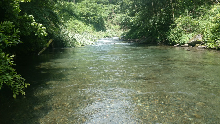 c0133133_1441322.jpg