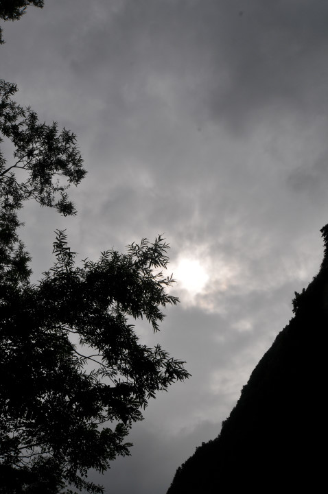 c0133133_1542789.jpg