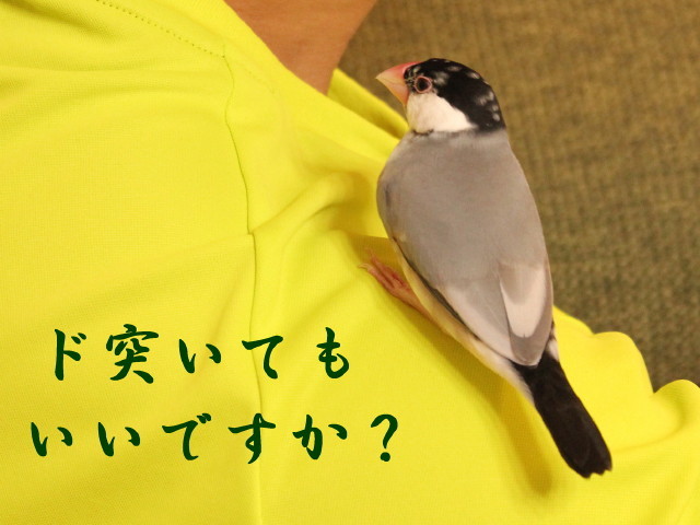 c0365734_22375035.jpg