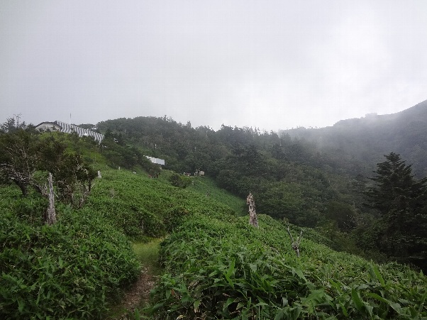b0149340_20325038.jpg