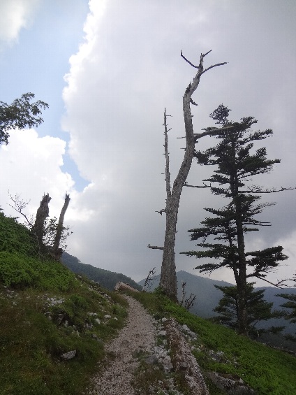 b0149340_21364026.jpg