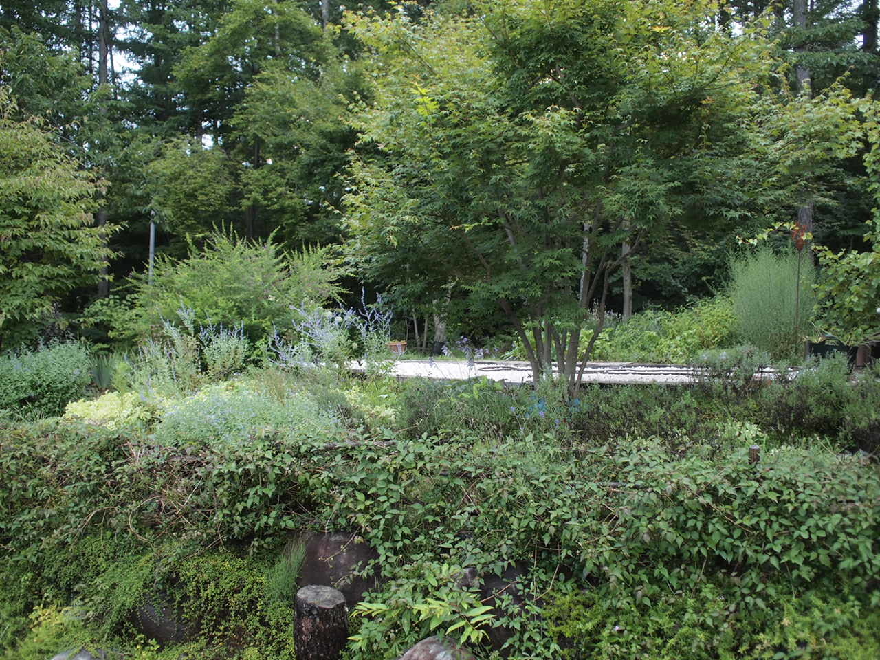 a0299945_21351479.jpg
