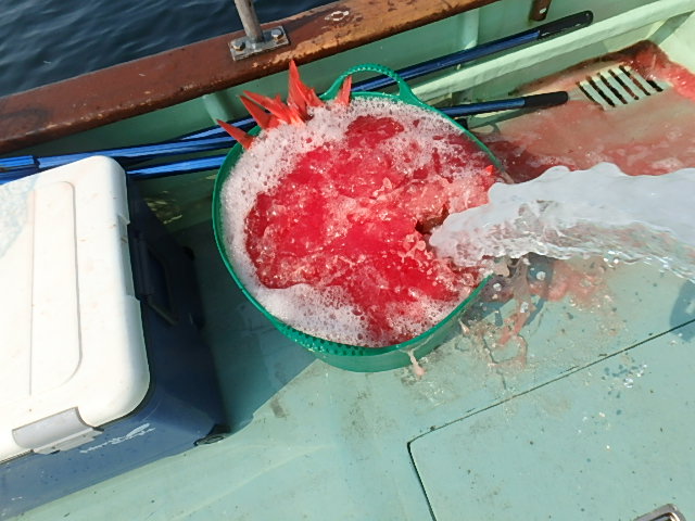 a0248152_16552557.jpg