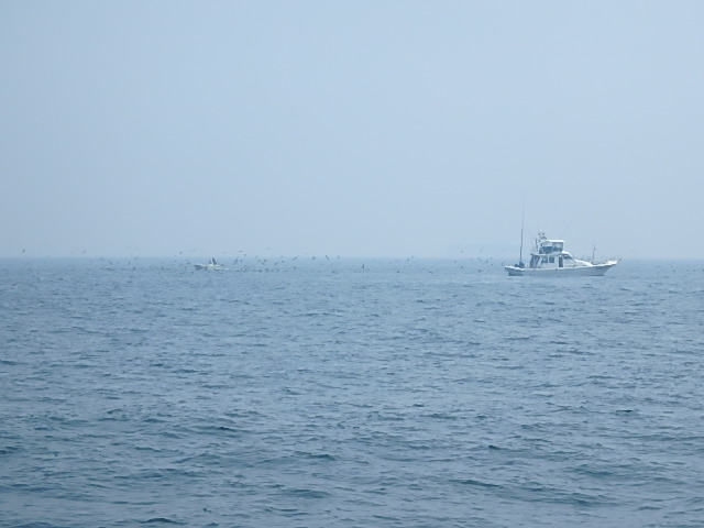 a0248152_16573464.jpg
