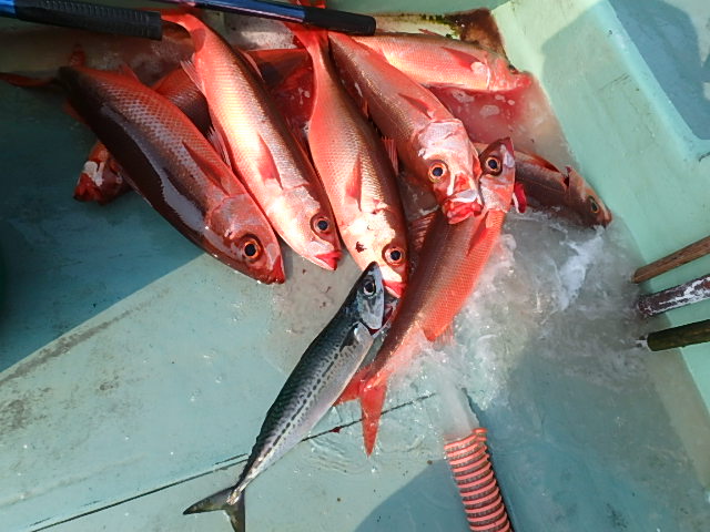 a0248152_1734914.jpg