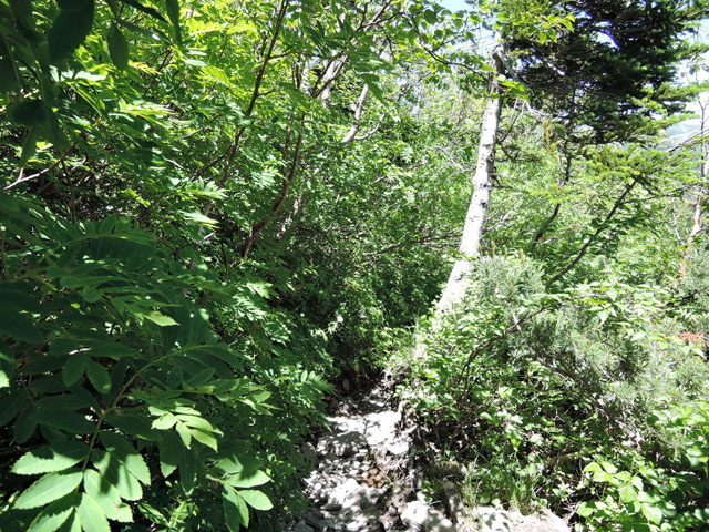 c0116856_19221515.jpg