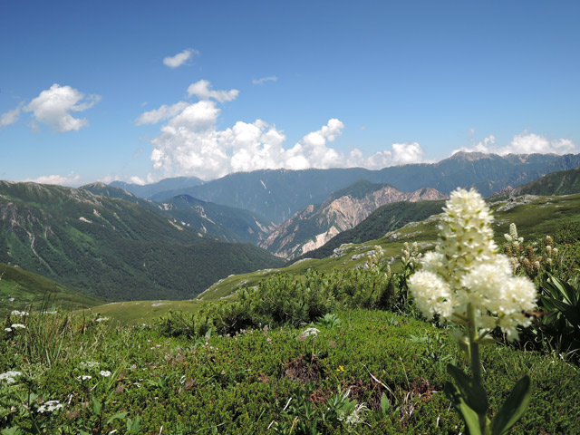 c0116856_20351765.jpg