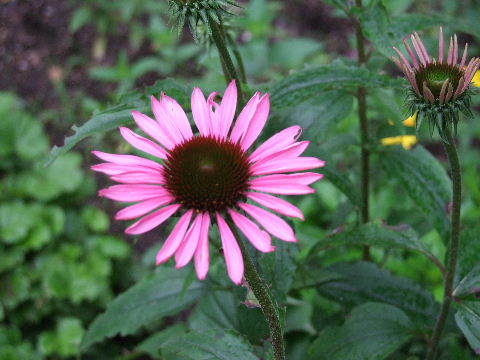 e0088260_07404639.jpg