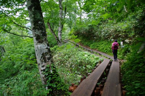 e0045768_2181215.jpg