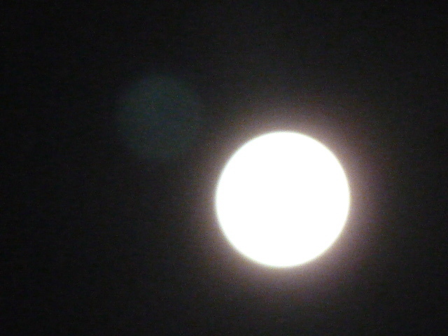e0278968_21335369.jpg