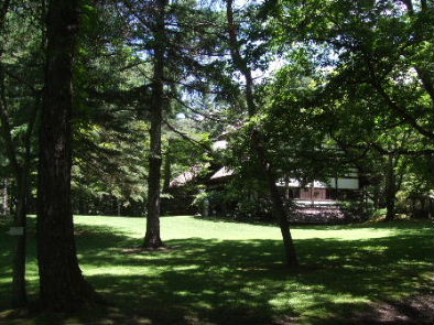 f0039281_1742768.jpg