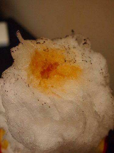 a0279382_18292474.jpg