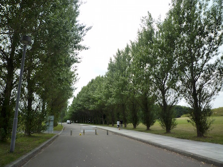 e0194987_21204731.jpg