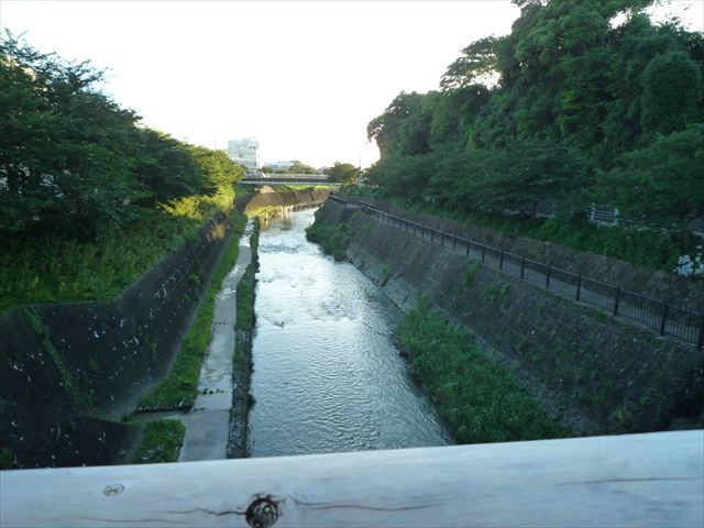 b0287088_20201631.jpg