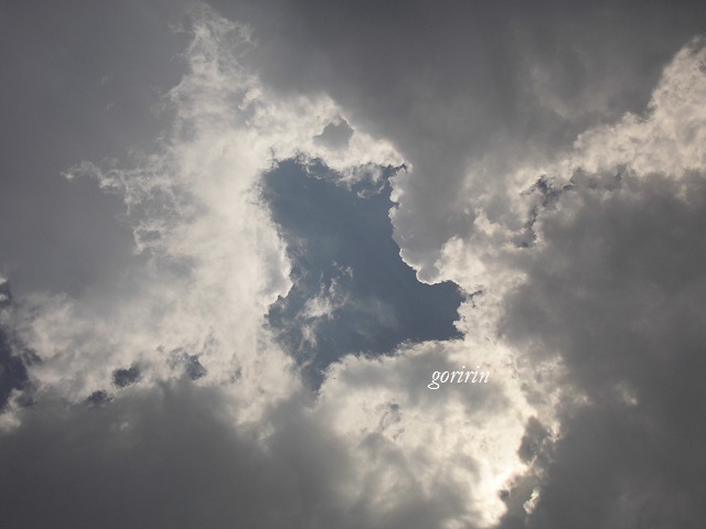 f0202291_10155160.jpg