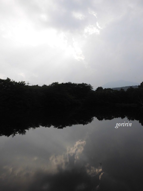 f0202291_1022475.jpg