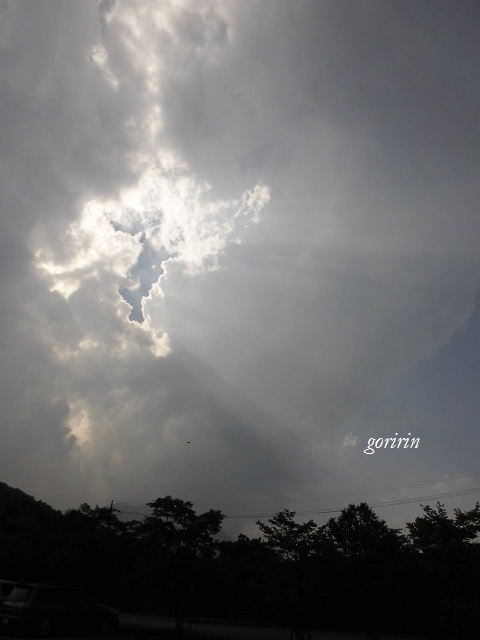 f0202291_9545044.jpg