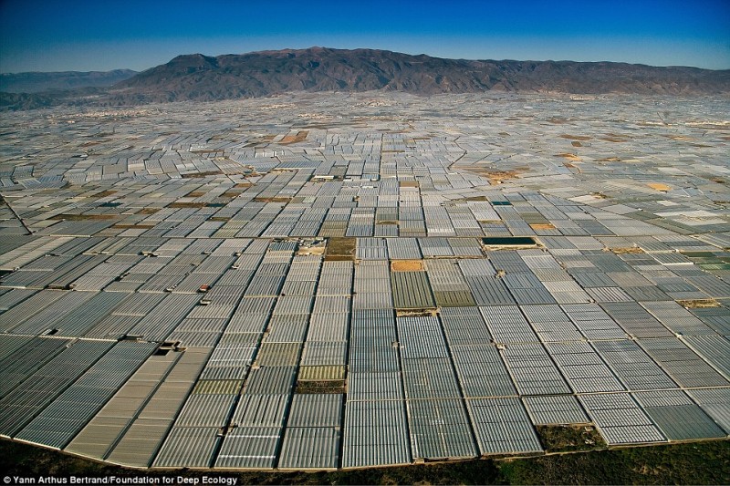 f0148098_94241.jpg