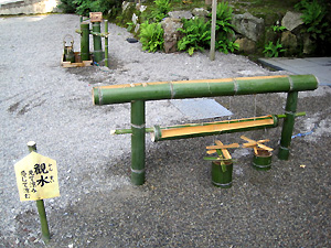a0177205_18481028.jpg