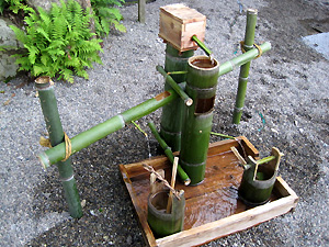 a0177205_1849950.jpg