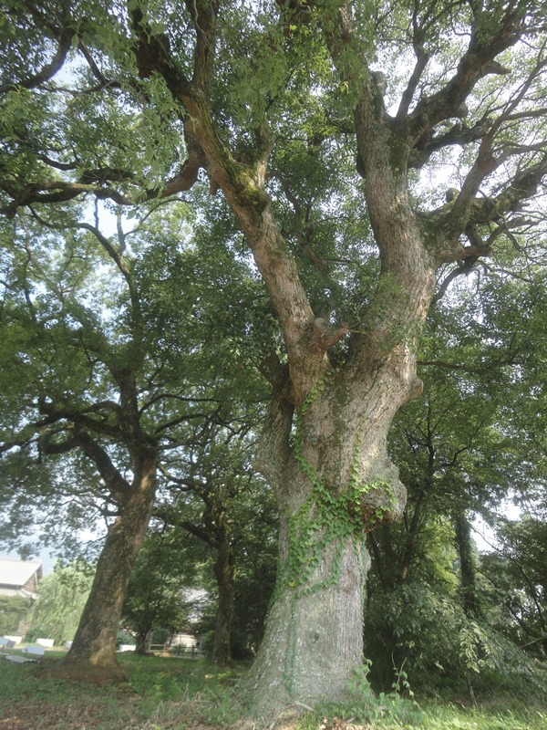 f0231709_16245730.jpg