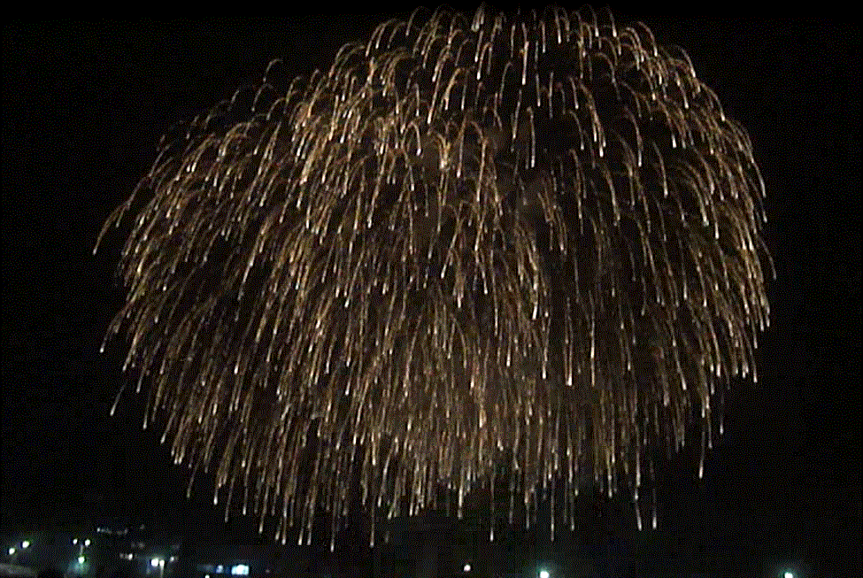 f0231709_2012111.gif
