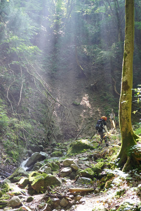e0077010_21265644.jpg