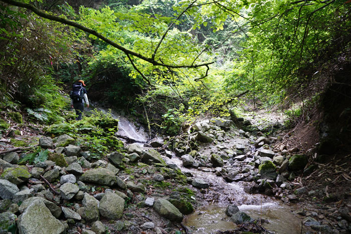 e0077010_21322366.jpg