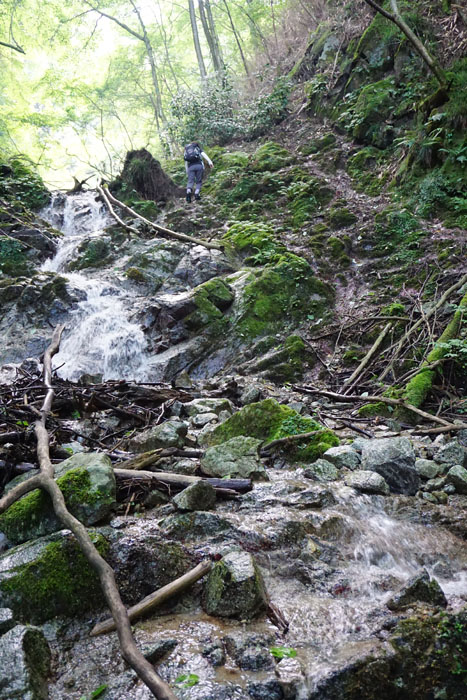 e0077010_21413827.jpg