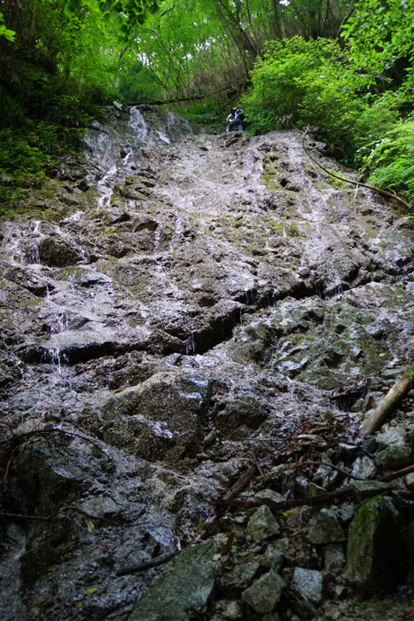 e0077010_21533561.jpg