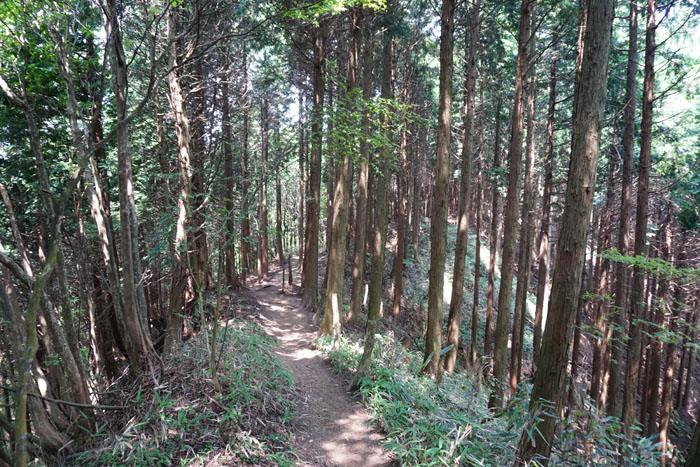 e0077010_2158455.jpg