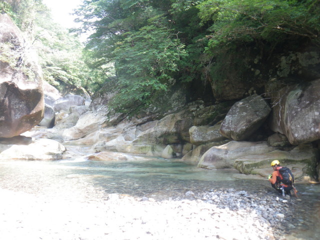 d0006512_00290202.jpg