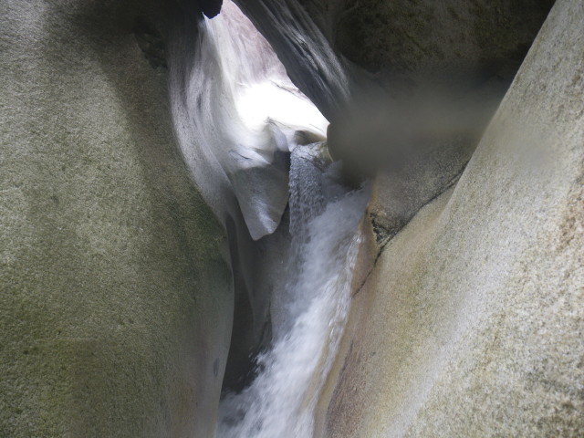 d0006512_00340488.jpg