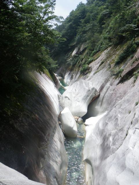 d0006512_00343166.jpg