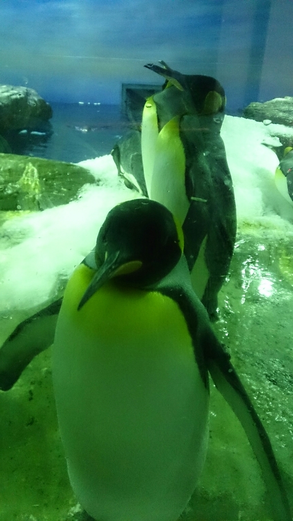 c0117621_22375452.jpg