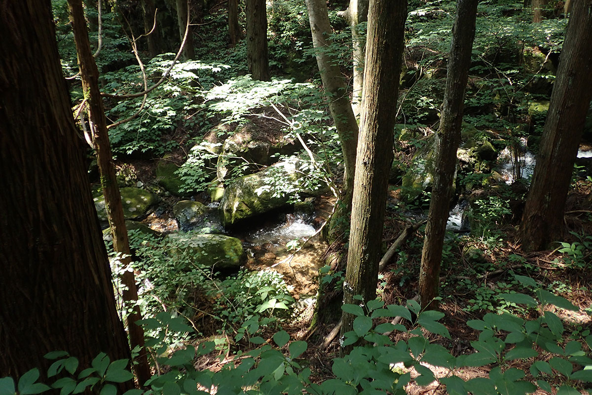 c0064025_18223821.jpg