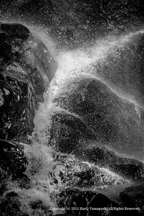 c0198227_10595823.jpg