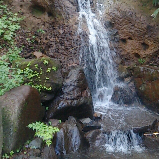 b0228428_20425450.jpg
