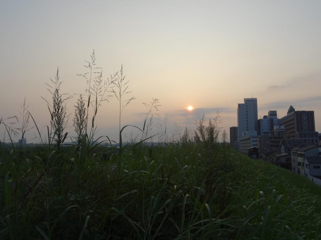 f0088231_08044420.jpg
