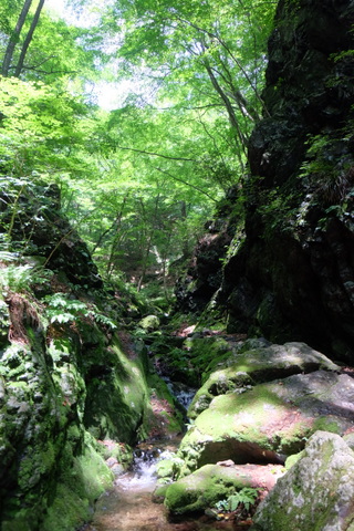 b0281732_7124295.jpg