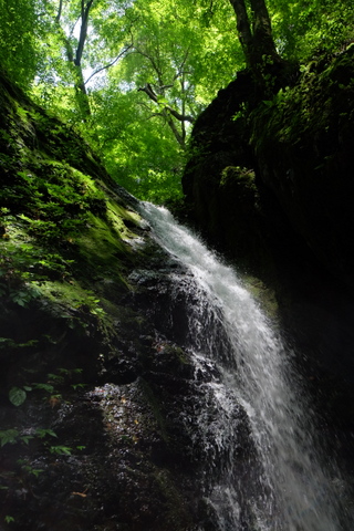 b0281732_712558.jpg