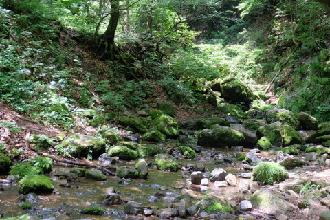 b0281732_7131241.jpg